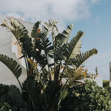 빌라 Ocean View 에리세이라