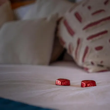 빌라 Ocean View 에리세이라